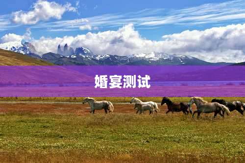 婚宴测试