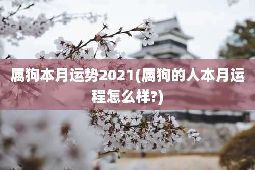属狗本月运势2021(属狗的人本月运程怎么样?)
