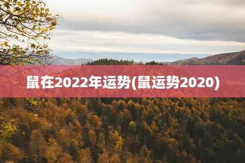 鼠在2022年运势(鼠运势2020)