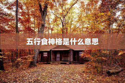 五行食神格是什么意思