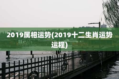 2019属相运势(2019十二生肖运势运程)