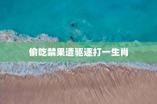 偷吃禁果遭驱逐打一生肖