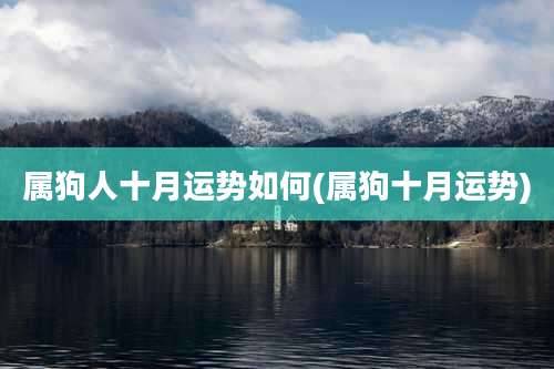 属狗人十月运势如何(属狗十月运势)