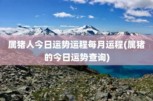 属猪人今日运势运程每月运程(属猪的今日运势查询)
