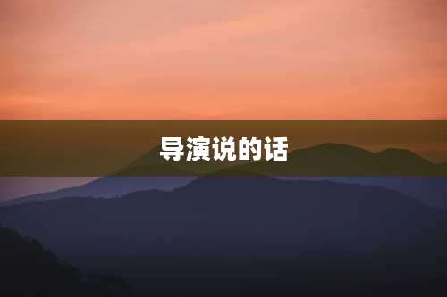 导演说的话