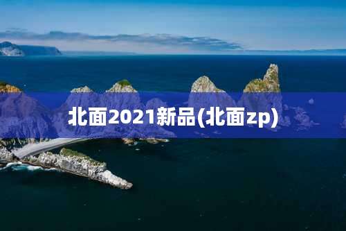 北面2021新品(北面zp)