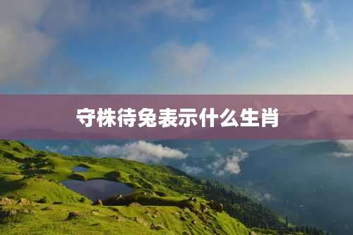 守株待兔表示什么生肖