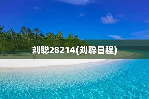 刘聪28214(刘聪日程)