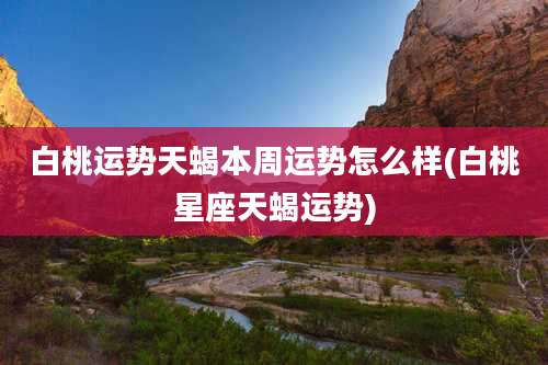 白桃运势天蝎本周运势怎么样(白桃星座天蝎运势)