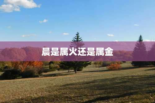 晨是属火还是属金