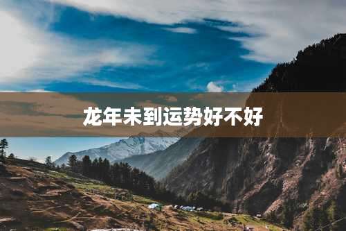 龙年未到运势好不好