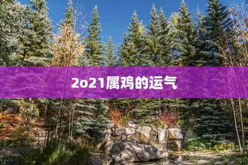 2o21属鸡的运气