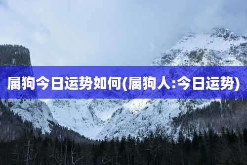 属狗今日运势如何(属狗人:今日运势)