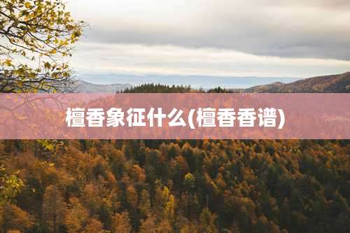 檀香象征什么(檀香香谱)