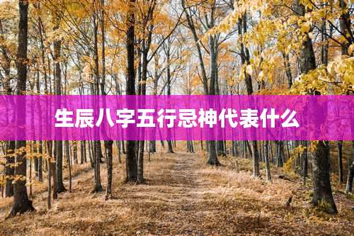 生辰八字五行忌神代表什么