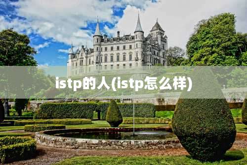 istp的人(istp怎么样)