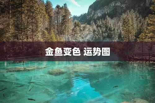 金鱼变色 运势图