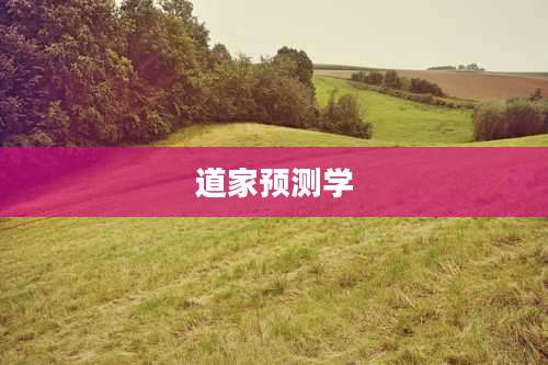 道家预测学