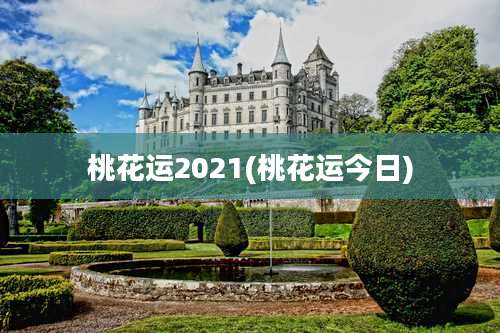 桃花运2021(桃花运今日)