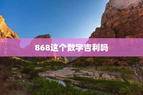 868这个数字吉利吗
