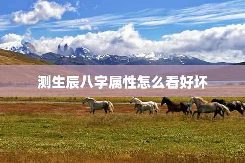 测生辰八字属性怎么看好坏