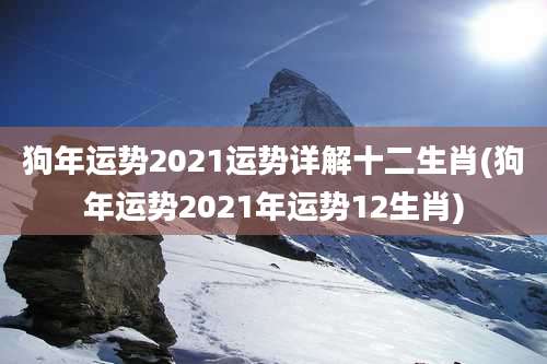 狗年运势2021运势详解十二生肖(狗年运势2021年运势12生肖)