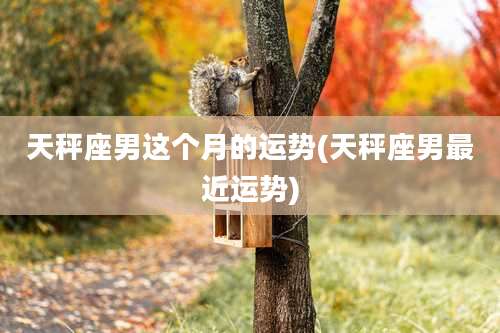 天秤座男这个月的运势(天秤座男最近运势)