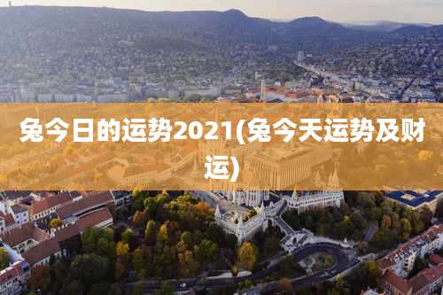 兔今日的运势2021(兔今天运势及财运)