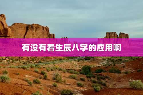 有没有看生辰八字的应用啊