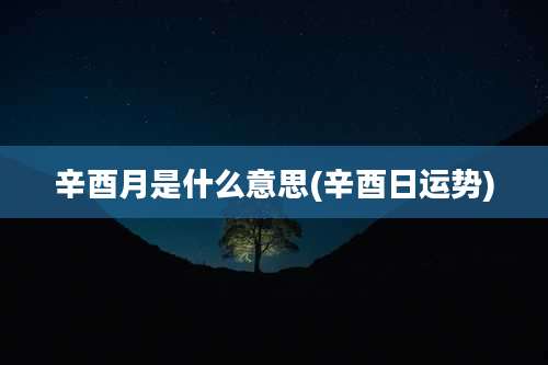 辛酉月是什么意思(辛酉日运势)