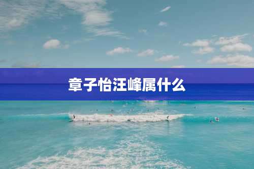 章子怡汪峰属什么