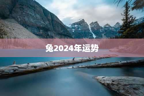 兔2024年运势