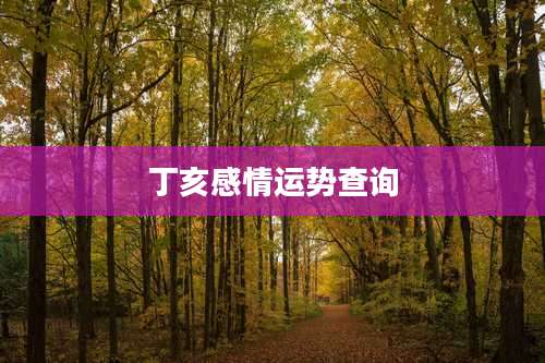 丁亥感情运势查询