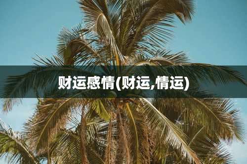 财运感情(财运,情运)