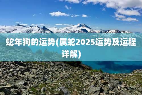 蛇年狗的运势(属蛇2025运势及运程详解)