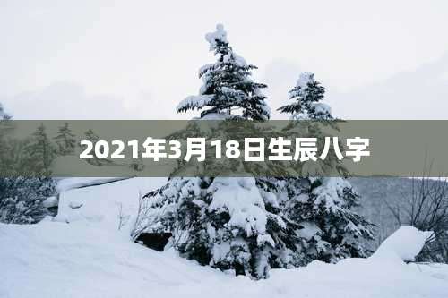 2021年3月18日生辰八字