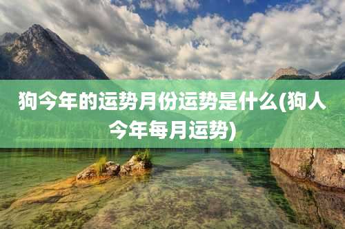 狗今年的运势月份运势是什么(狗人今年每月运势)
