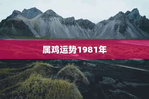 属鸡运势1981年