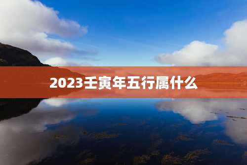 2023壬寅年五行属什么