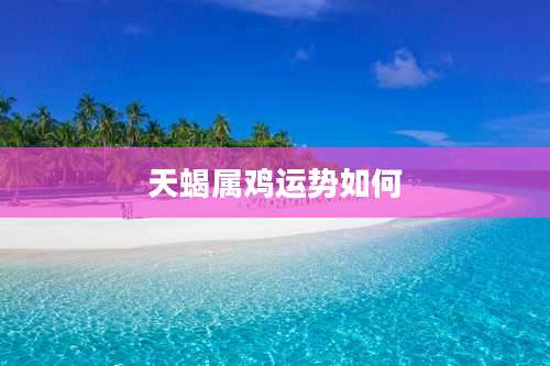 天蝎属鸡运势如何