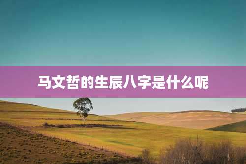 马文哲的生辰八字是什么呢