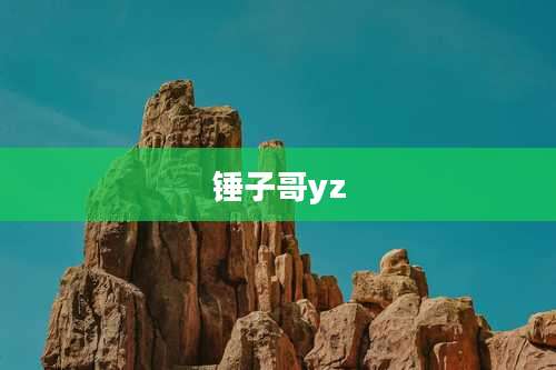 锤子哥yz