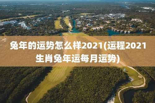 兔年的运势怎么样2021(运程2021生肖兔年运每月运势)