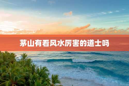 茅山有看风水厉害的道士吗