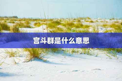 宫斗群是什么意思
