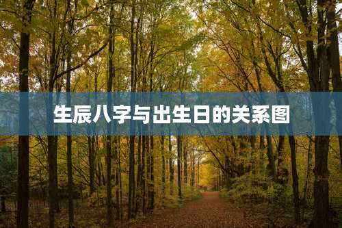 生辰八字与出生日的关系图