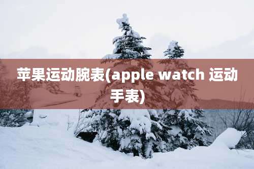 苹果运动腕表(apple watch 运动手表)