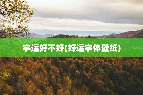 字运好不好(好运字体壁纸)