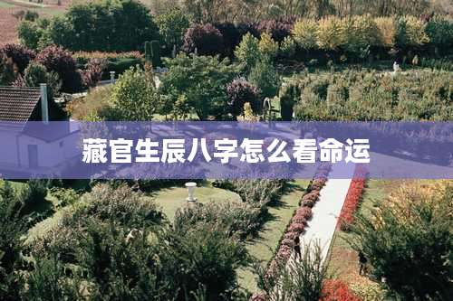 藏官生辰八字怎么看命运