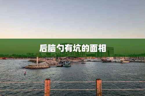后脑勺有坑的面相